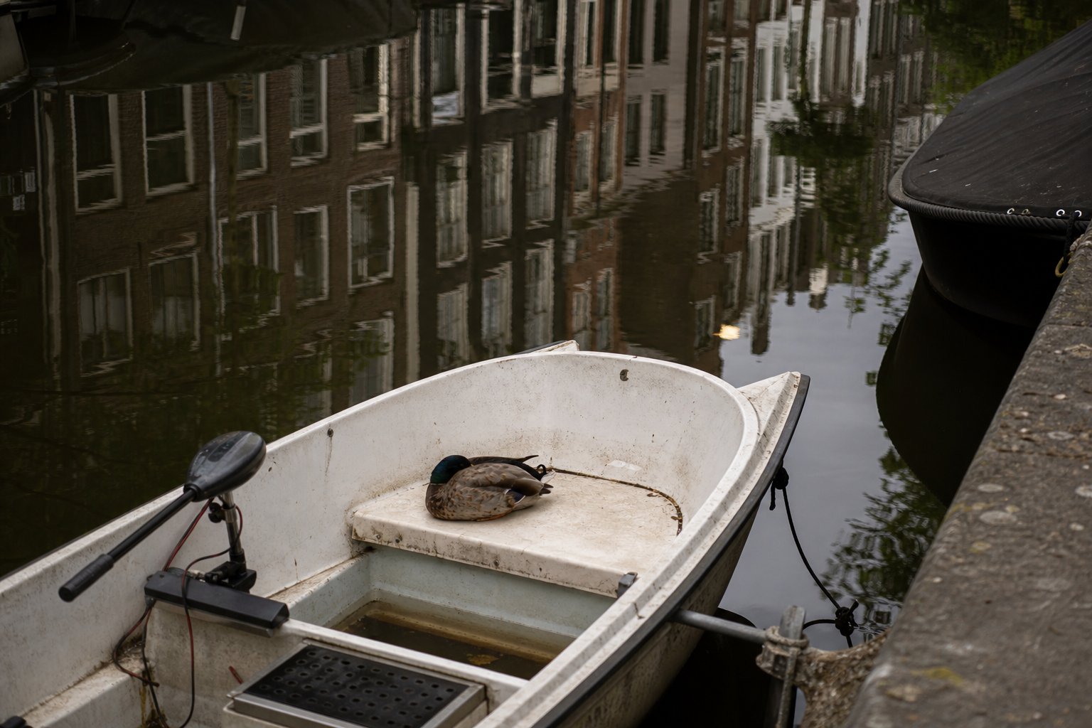 Essentially Amsterdam – Sunday, August 23, 2026