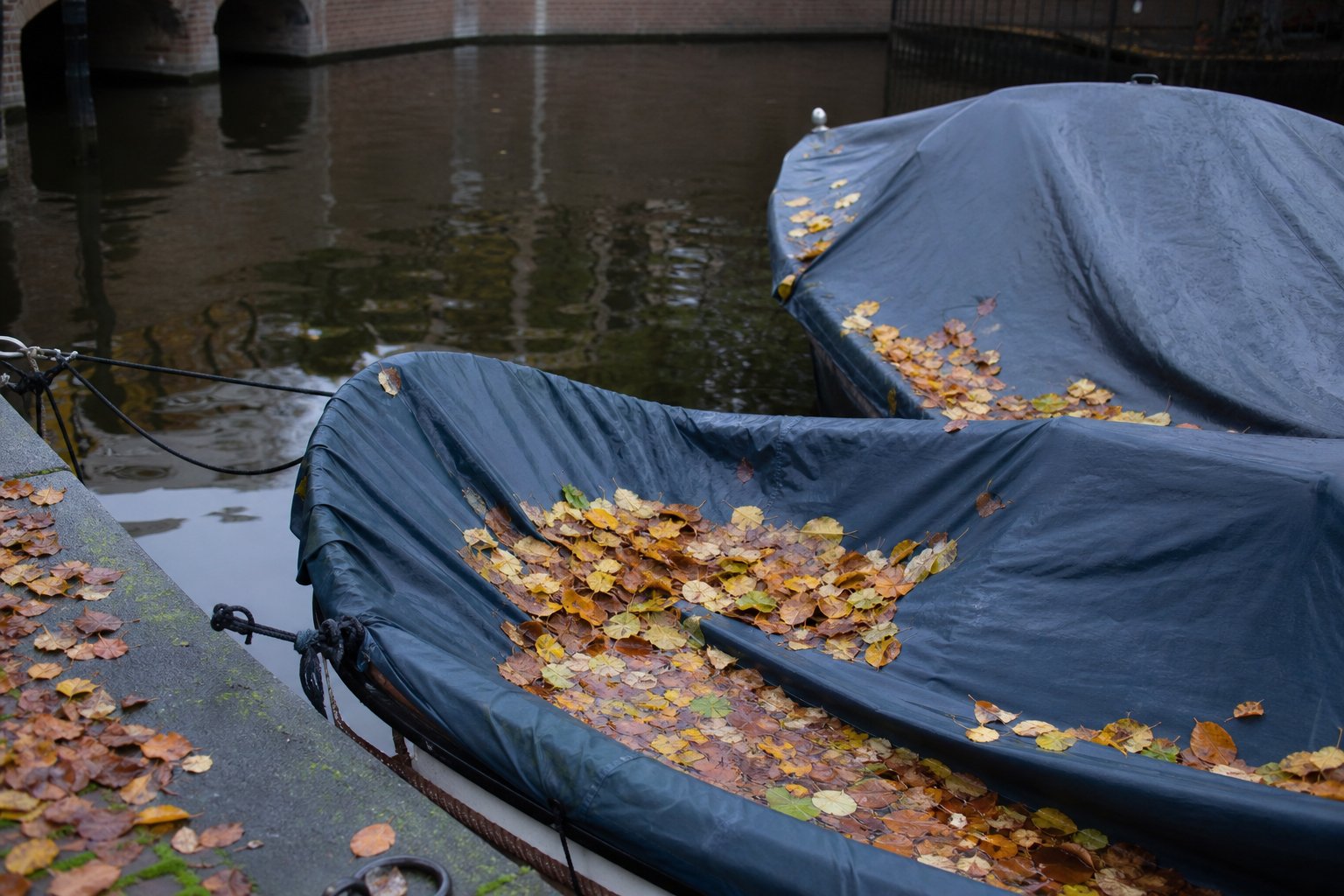 Essentially Amsterdam – woensdag 7 oktober 2026