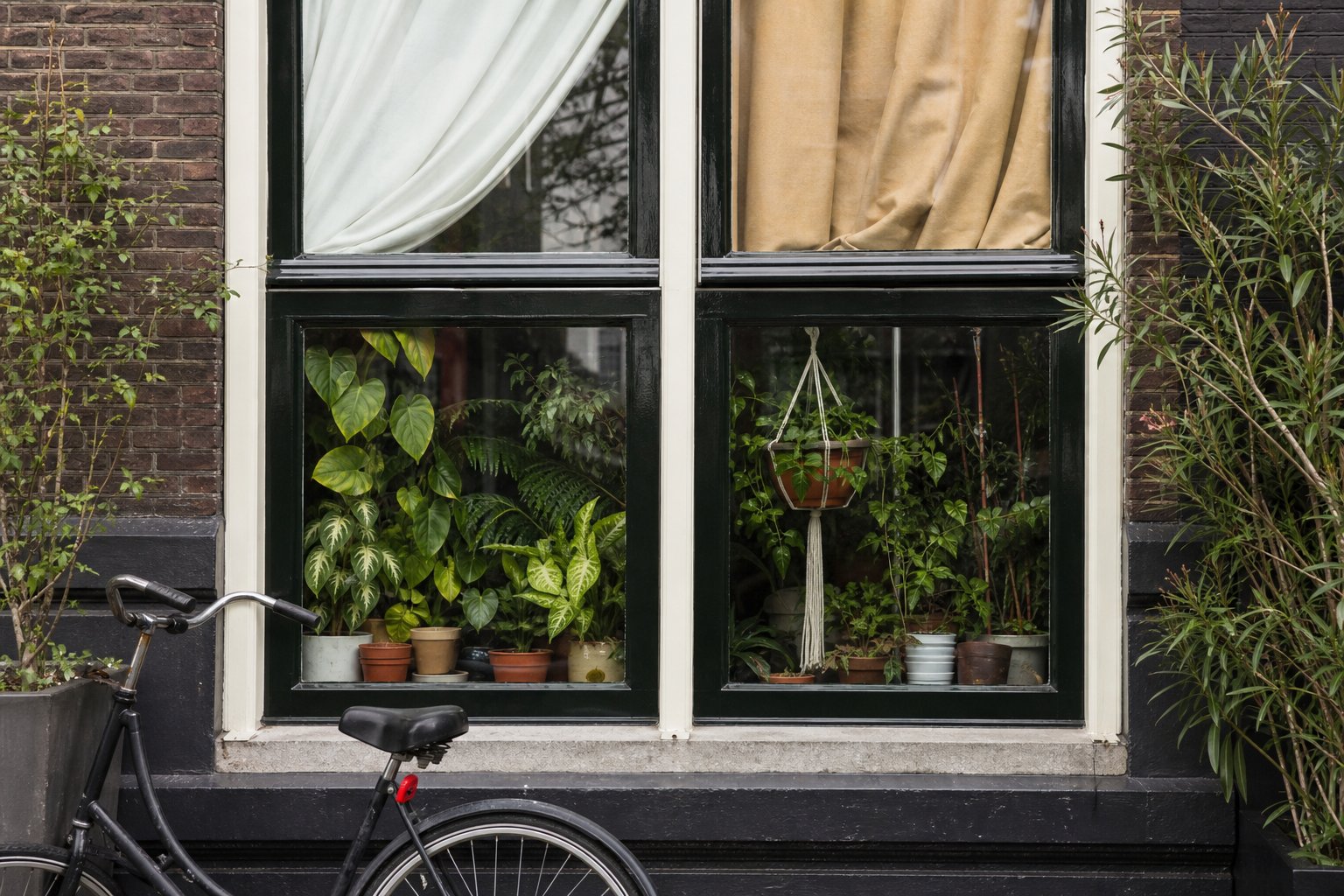 Essentially Amsterdam – Friday, August 21, 2026